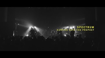 Survive Said The Prophet - Spectrum | Official Live Music Video