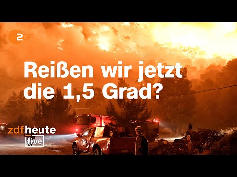 Video: Führen Waldbrände die globale Erwärmung aus?