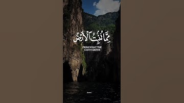 #سورة_يس #احمد_النفيس #قرآن #اكسبلور #حالات_واتس #راحة_نفسية #لايك @Quranic.Message.1