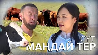 Маңдай тер: Сүт