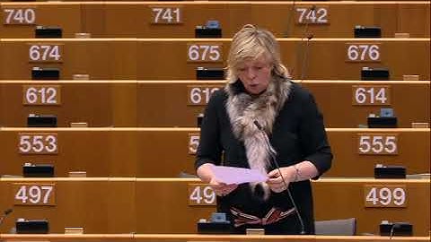 Hilde Vautmans 01 Mar 2018 plenary speech on the financing of terrorism
