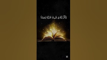 تلاوة جميلة #اكسبلور #yasseraldossary #ياسر_الدوسري #راحة_نفسية #المصحف #duet #الرحمن #دويتو