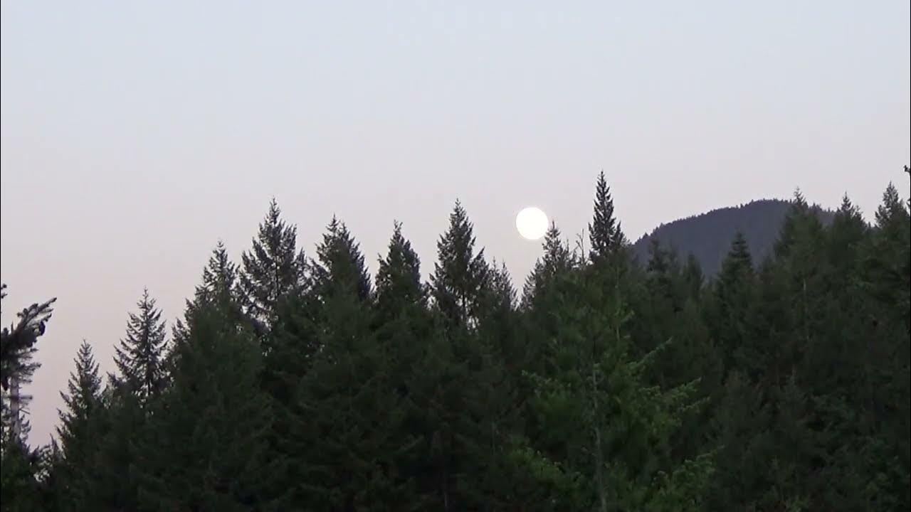 Mead Moon Esbat YouTube