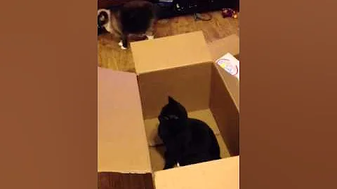 Boxes are fun