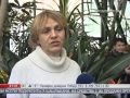 Новости Подмосковья (Подмосковье, 6.01.2013) 21:30