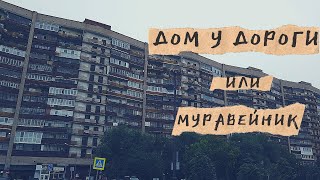 Муравейник Тюмень