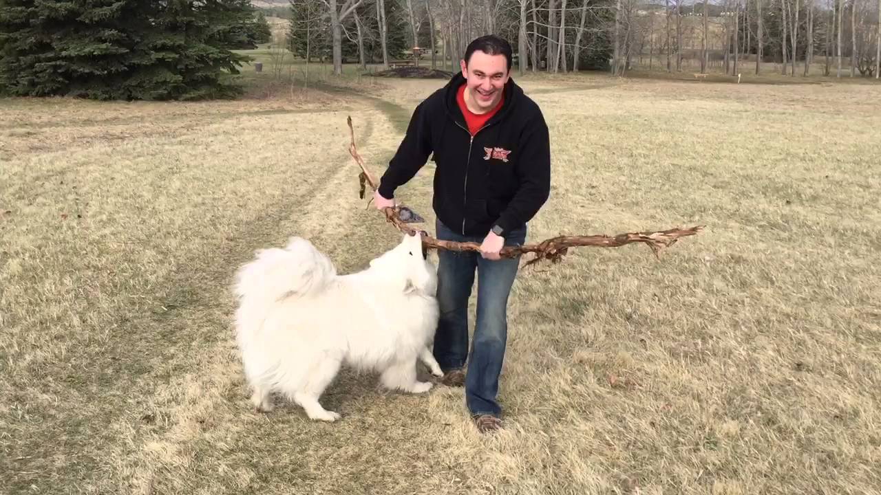 Red Deer Lake 24 Apr 2016 - 1