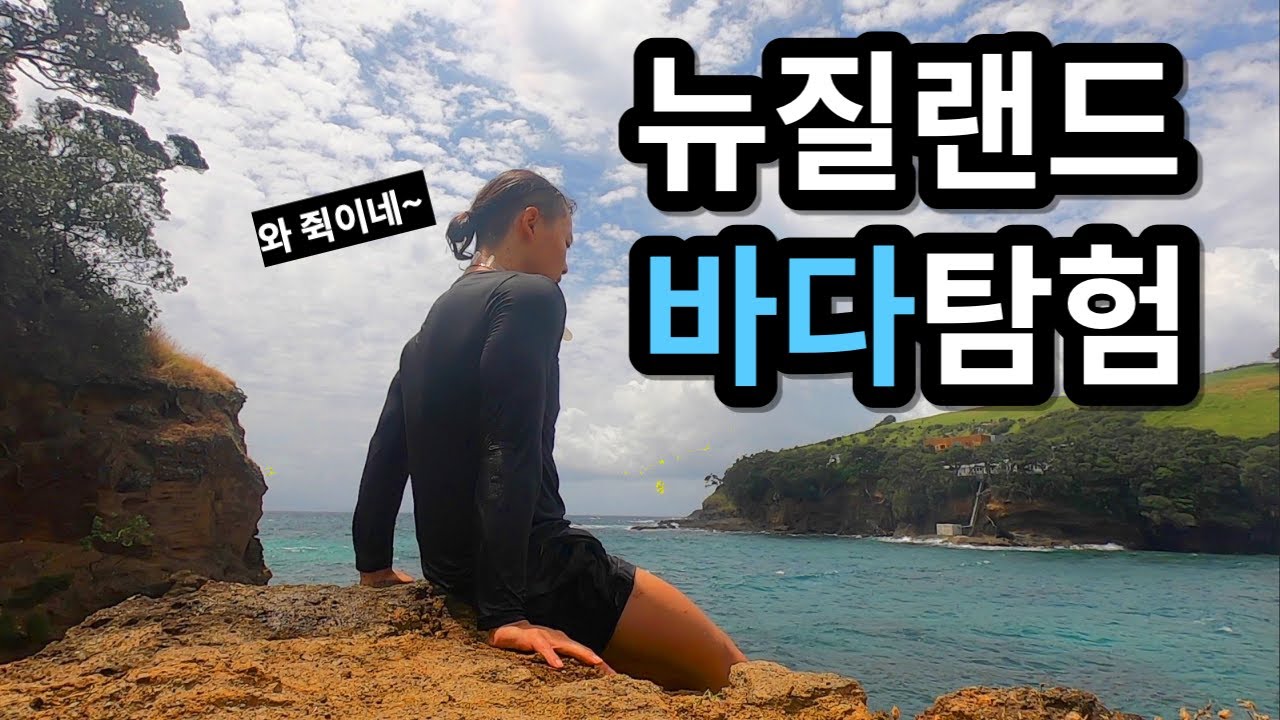 뉴질랜드 오지는 바다구경하기