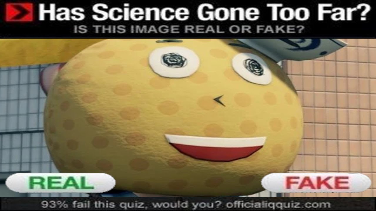 yakuza real vs fake part 2