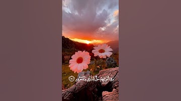 كَانُوا قَلِيلًا مِّنَ ٱلَّيْلِ مَا يَهْجَعُونَ | تلاوة مؤثرة من سورة الذاريات تصف حال المتقين 📖