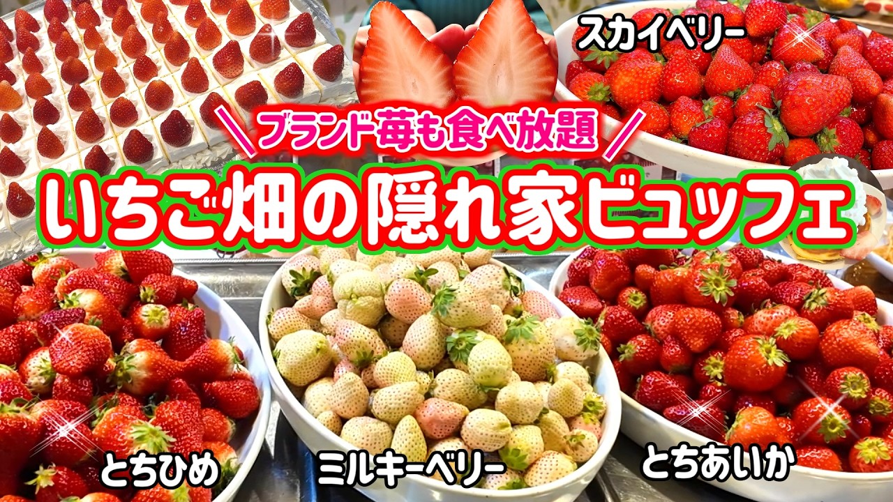 【ブランド苺食べ放題】驚きの価格であの高級いちごも食べ放題！いちご畑の隠れ家ビュッフェレストランに大感激！