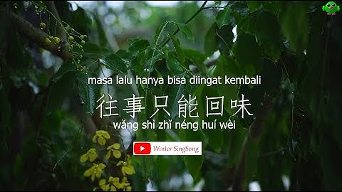 往事只能回味 (wang shi zhi neng hui wei)