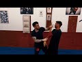 Sifu vassilis wing tsun escrima mma self defense street fight wtesorg