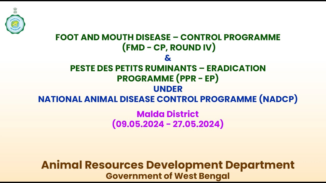 FOOT AND MOUTH DISEASE - CONTROL PROGRAMME & PETITS RUMINANTS ...