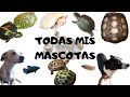 TODAS MIS MASCOTAS (TORTUGAS EXOTICAS)🐢🐕🐟 / TAG DE LAS MASCOTAS