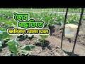 জৈব পদ্ধতিতে ক্ষতিকর পোকা দমন #everyone #agriculture #farming #viralvideo #cultivation