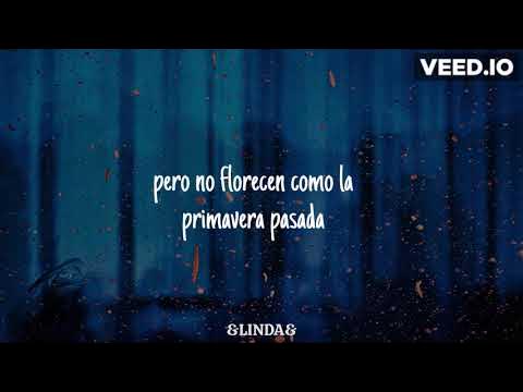 tom odell - Another Love (canción en español) cantada en español