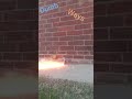 Fire work gone wrong dumbwaystodie2 explosion soda fireworks