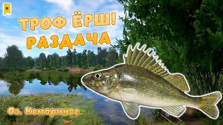 картинка: Русская рыбалка 4 - ТРОФЕЙНЫЙ ЁРШ! РАБОЧАЯ ТОЧКА РАЗДАЧА! НА Оз. Комариное!