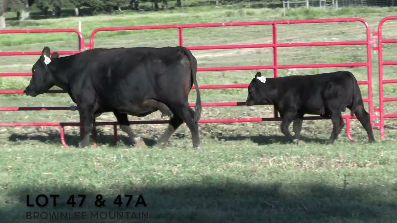 Brownlee Mountain Farm Lot 47 & 47A YouTube
