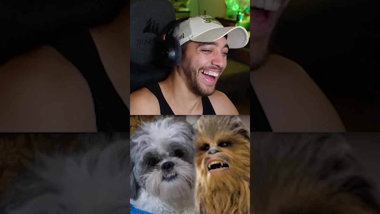 Mascotas de mis subs 2 🐶
