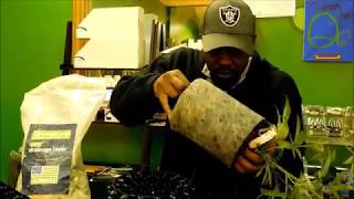 Transplanting With Fat