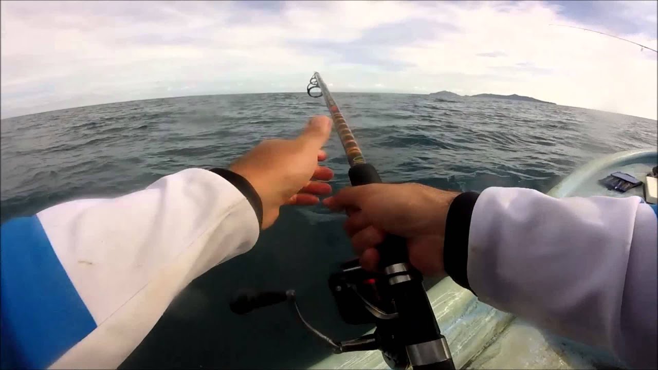 Popper Action Crevalle Jack