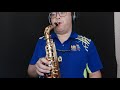 Love Story-alto sax cover