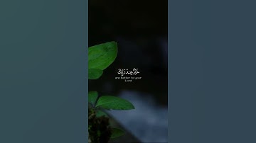 المال والبنون زينة الحياه الدنيا🌹تلاوة خاشعة