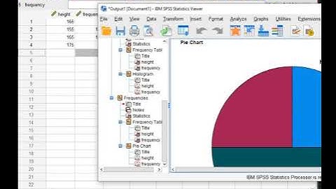 The Standard Deviation and Mean using SPSS || updated video || part 4