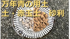 おもとの豊明園 Toyotaka Mizuno
