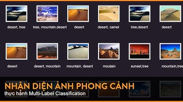 Tìm hiểu Multi-Label Classification và làm bài toán nhận diện phong cảnh - Mì AI