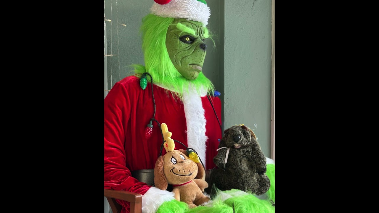 Mount Joy Minnie at Ladybug Crossing 2025