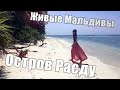 Живые Мальдивы / остров Расду / пляж, паром, экскурсия по острову / Rasdhoo tour