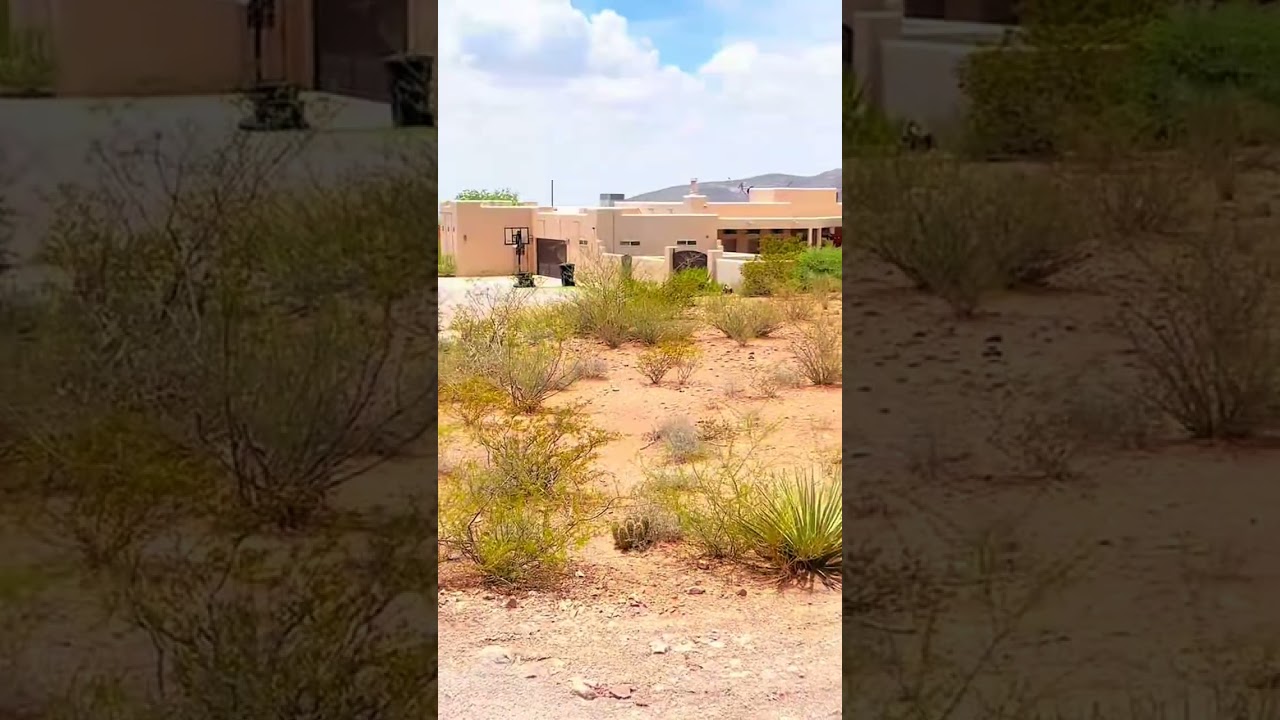 Moving from California? See This Listing | New Mexico Homes for Sale With Land
