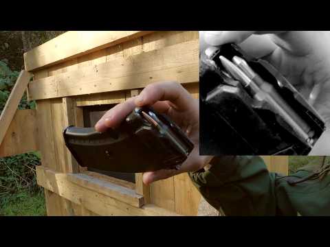 BULLET or SHOT: WHICH IS BETTER?