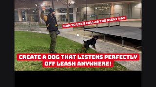 PART 2 | How To Condition Dogs To An ECollar: The RIGHT Way!