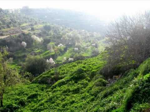 فيروز بتشوف بكرة بتشوف