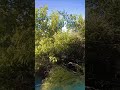 Trail 3 Islamabad Vibes 🌿 | Margalla Hills Nature Walk & Cool Weather | Hiking in Islamabad #Shorts