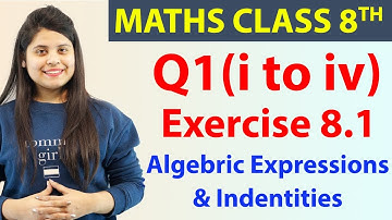 Q 1(i) to (iv) - Ex 8.1 - Algebric Expressions & Indentities - Maths Class 8th - Chapter 8, CBSE