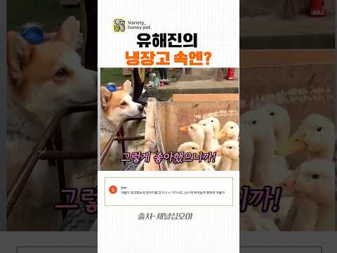 유해진의 냉자고 속엔 추억이 들어있다는데#왕과사는남자 #왕사남 #박지훈 #장항준#십오야#<strong>나영석</strong>