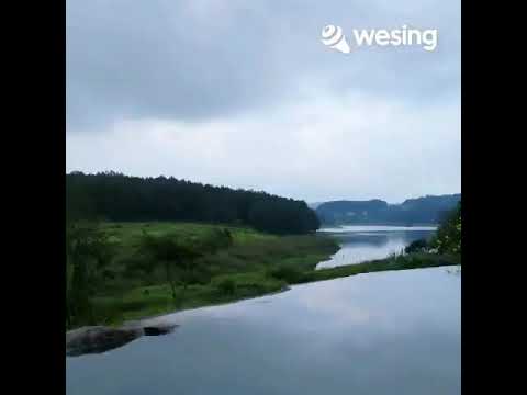 几分伤心几分痴