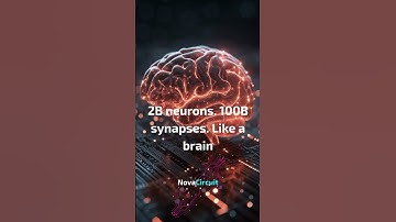 China’s DARWIN MONKEY Supercomputer 🐒 #AI vs USA #AI arms race #nextgenai
