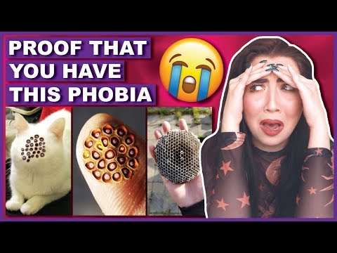 Photos That PROVE You Have Trypophobia