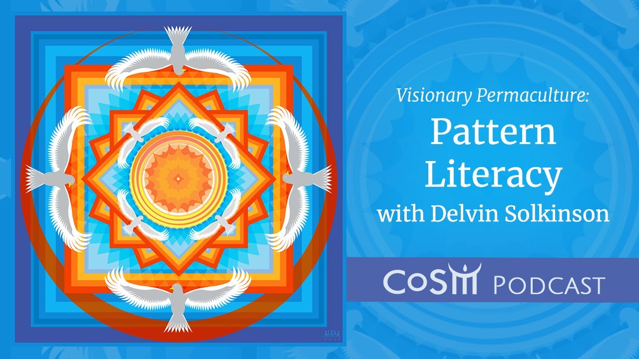Pattern Literate Pattern Literacy | Visionary Permaculture with Delvin Solkinson - YouTube