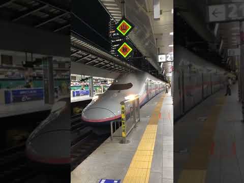 [ありがとう最後の2階建て新幹線E4系MAX]