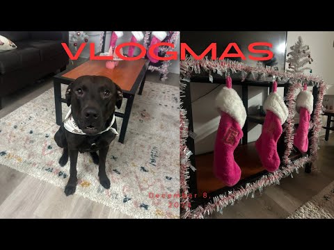 Vlogmas #8 December 8th, 2024