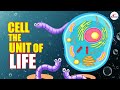 #Biomentors #NEET 2021 Batch: Biology - Cell the Unit of Life Lecture - 4