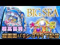 🌊パチンコライブ【大海物語５】BIG SEA STORY 大当たり確率、プレミア確率UP中！#パチンコ#縦画面ライブ配信#海物語#shorts