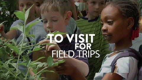 Community Outreach Programs